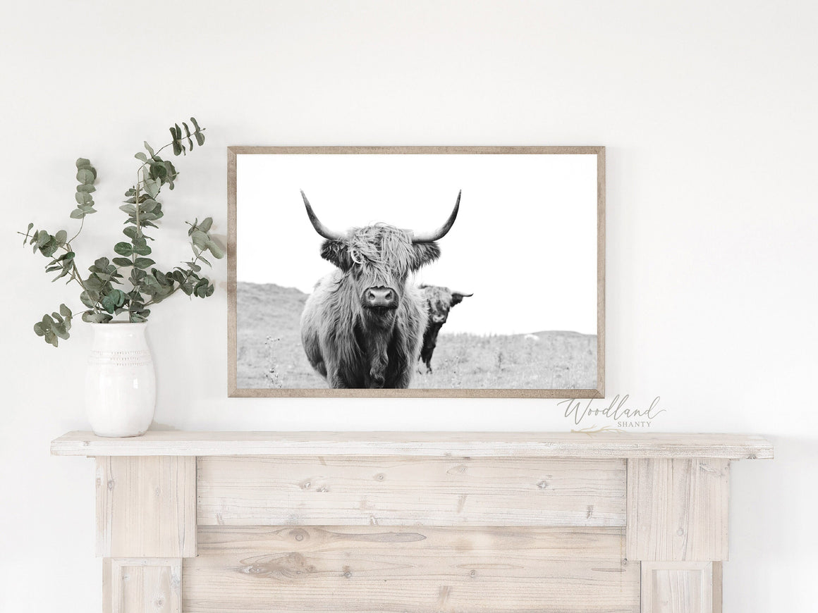 Framed Highland Cow Print, Scottish Cow Sign, Black and White Highland Cow Wall Art