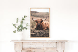 Highland Cow Framed Sign, Framed Cow Wall Art, Scottish Cow Sign