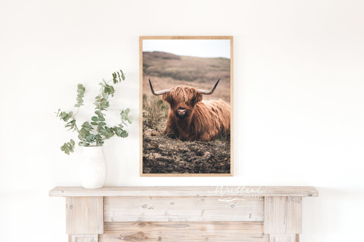Highland Cow Framed Sign, Framed Cow Wall Art, Scottish Cow Sign