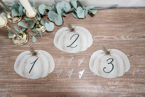 White Pumpkin Table Numbers, Fall Wedding Table Numbers, Fall Themed Wedding Table Decor, Table Numbers, White Pumpkin Wedding Decor