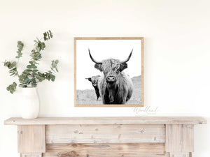 Highland Cow Framed Wall Art Sign, Nature Themed Farmhouse Wall Art