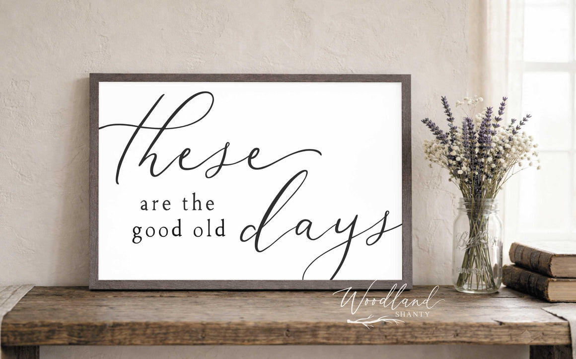 These Are The Good Old Days Sign