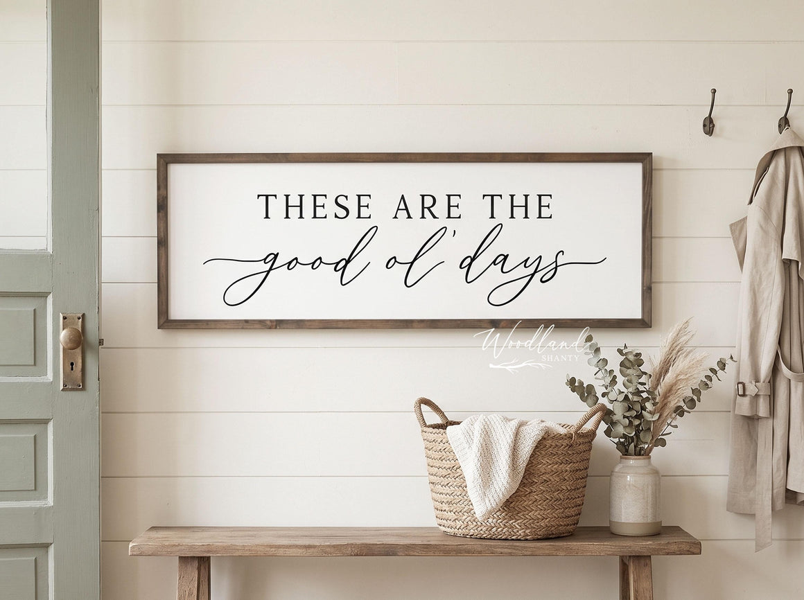 These are The Good ol' Days Framed Sign