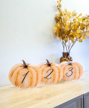 Pumpkin Table Numbers, Fall Wedding Table Numbers, Fall Themed Wedding Table Decor, Table Numbers, Pumpkin Wedding Decor