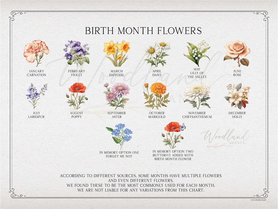 Framed Birth Month Flowers Sign